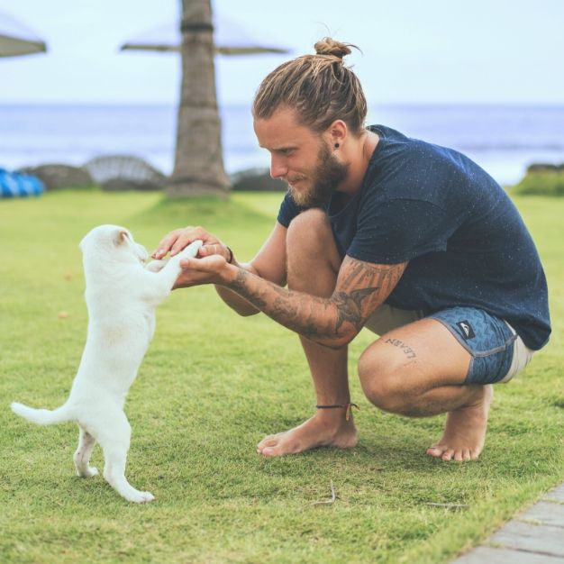 As principais dicas de marketing para o mercado pet